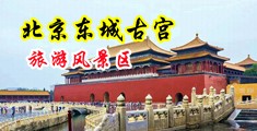 哦哦奶子好大啊啊逼水好多视频中国北京-东城古宫旅游风景区